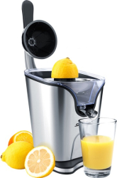 Lisy na citrusy